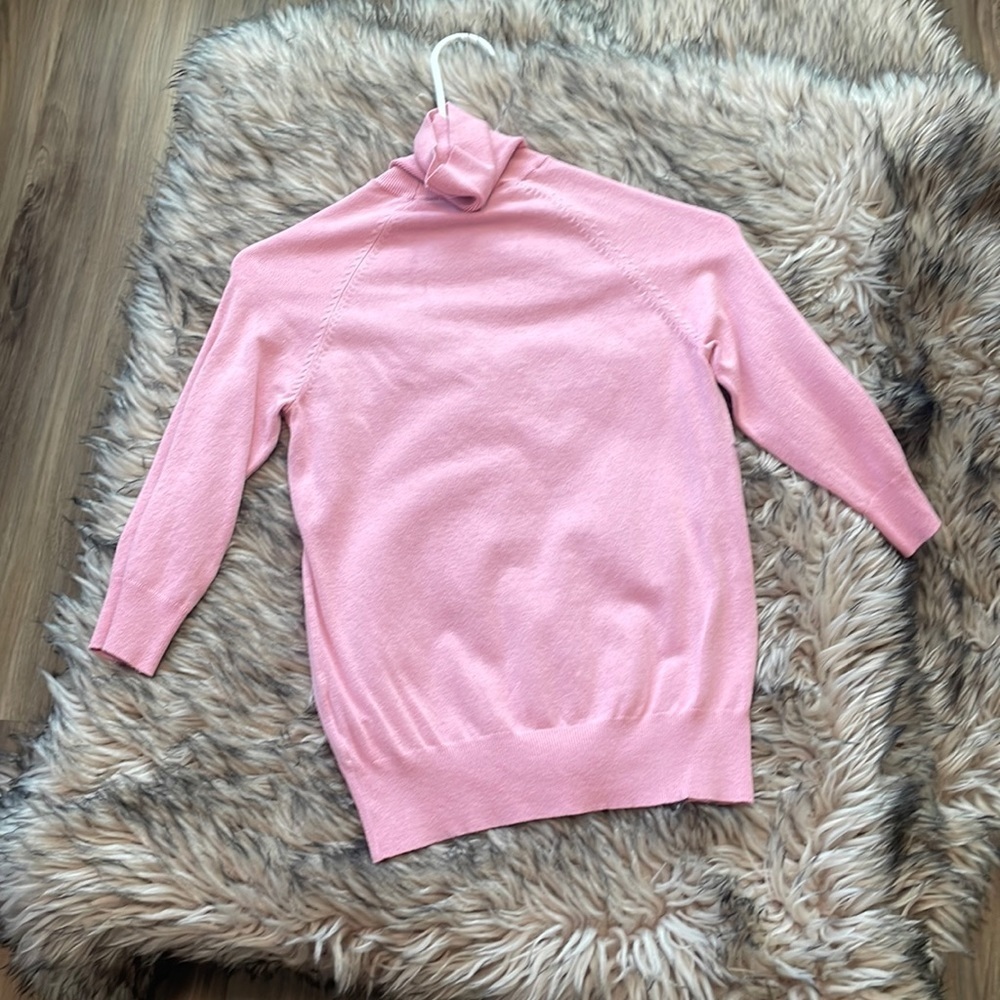 Zara Pink Turtleneck Sweater
